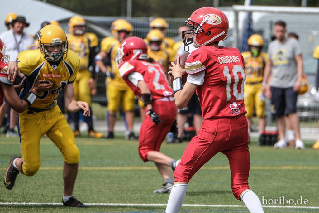 HR-22-06-26-16-06-38-8654