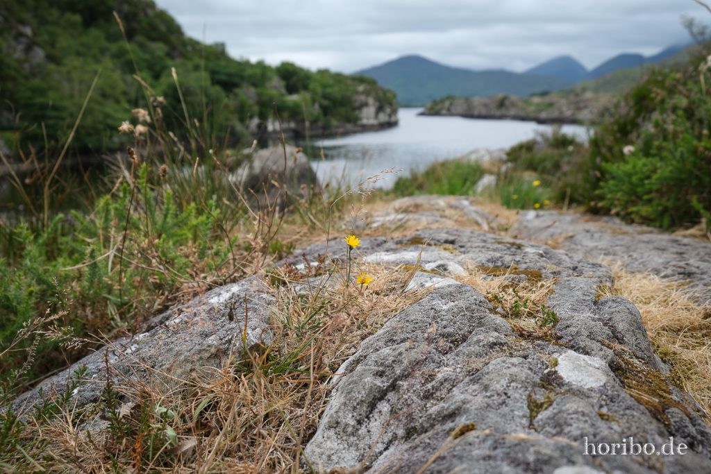 Upper Lakes Killarney