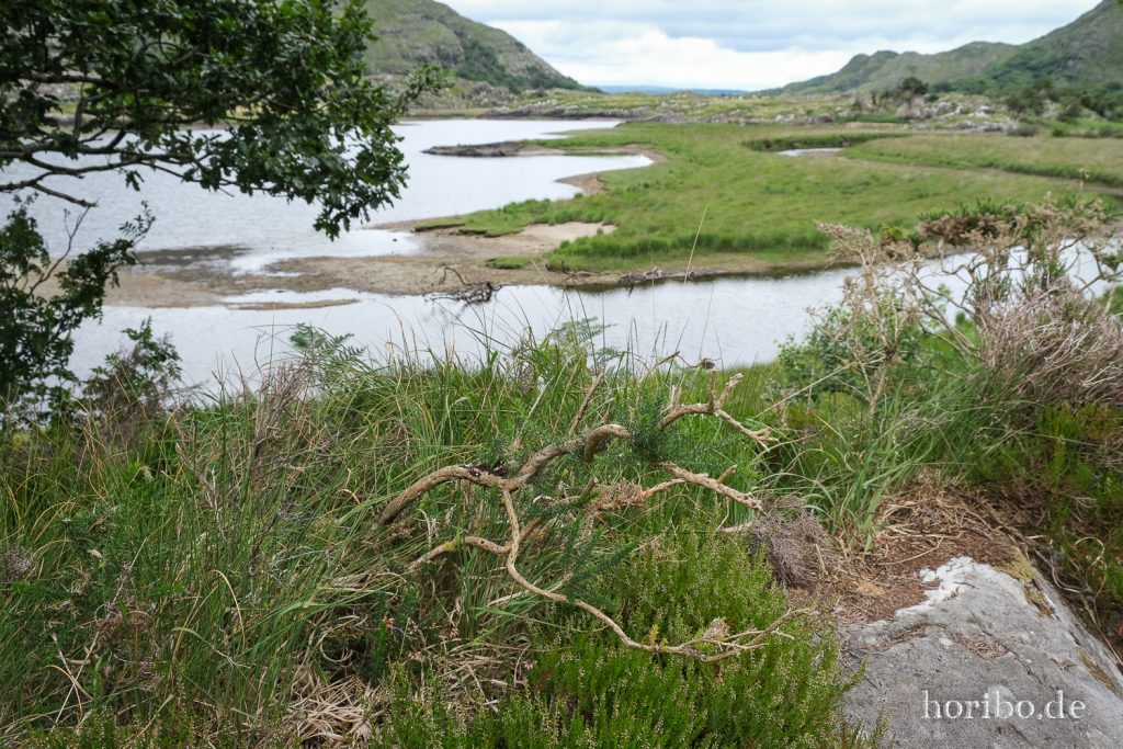 Upper Lakes Killarney