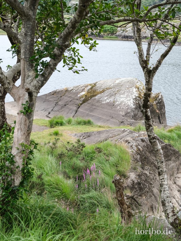 Upper Lakes Killarney