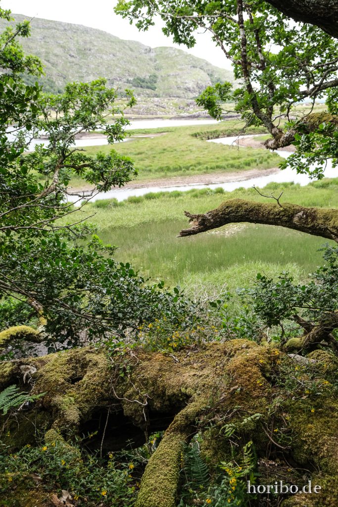 Upper Lakes Killarney