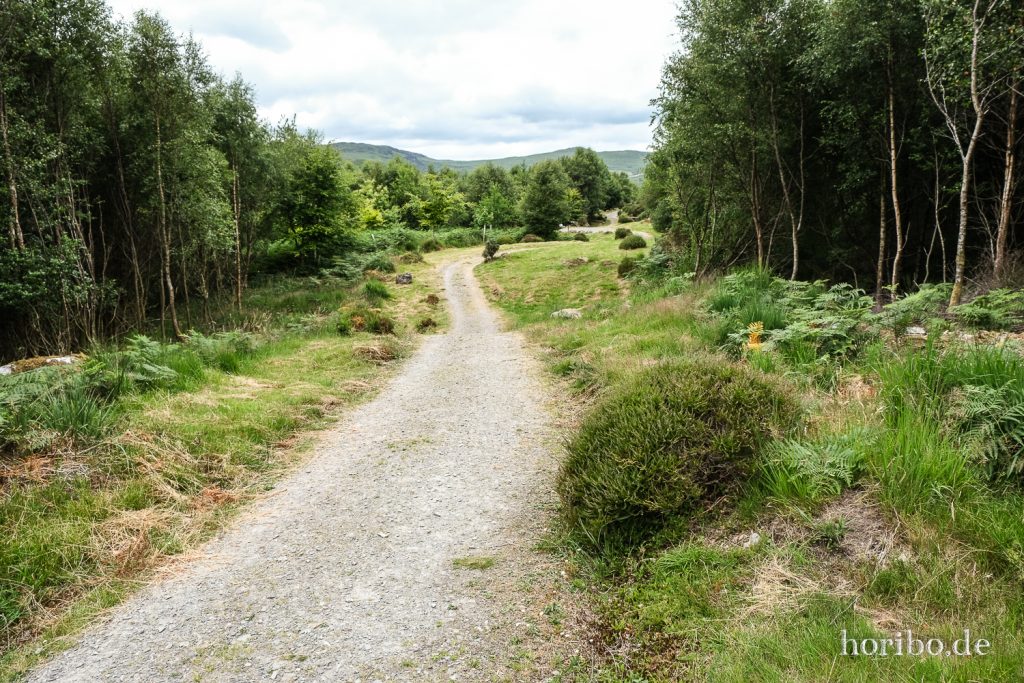 Bonane Heritage Park