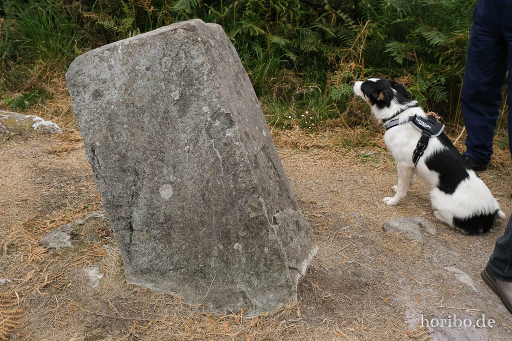 Standing Stone im Bonane Heritage Park