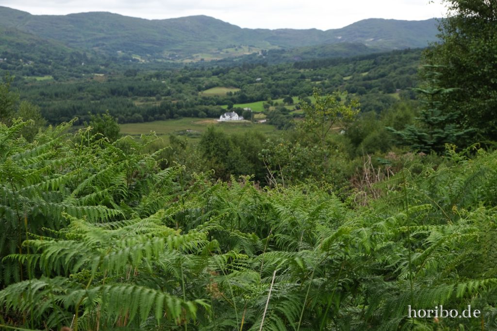 Ausblick über das Tal vom Bonane Heritage Park