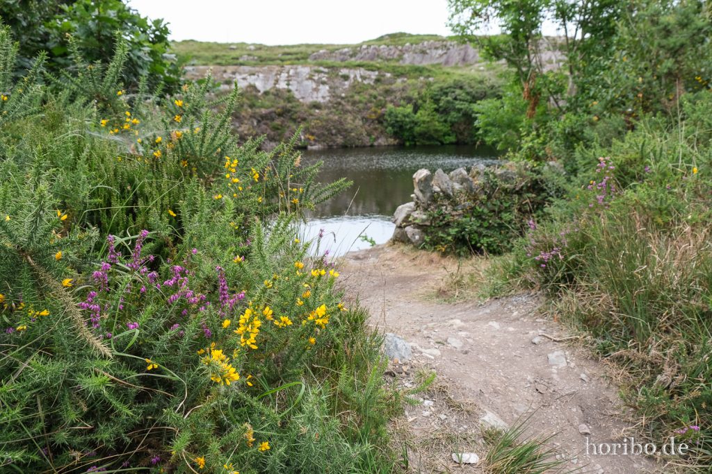 kleiner See am Ring of Kerry