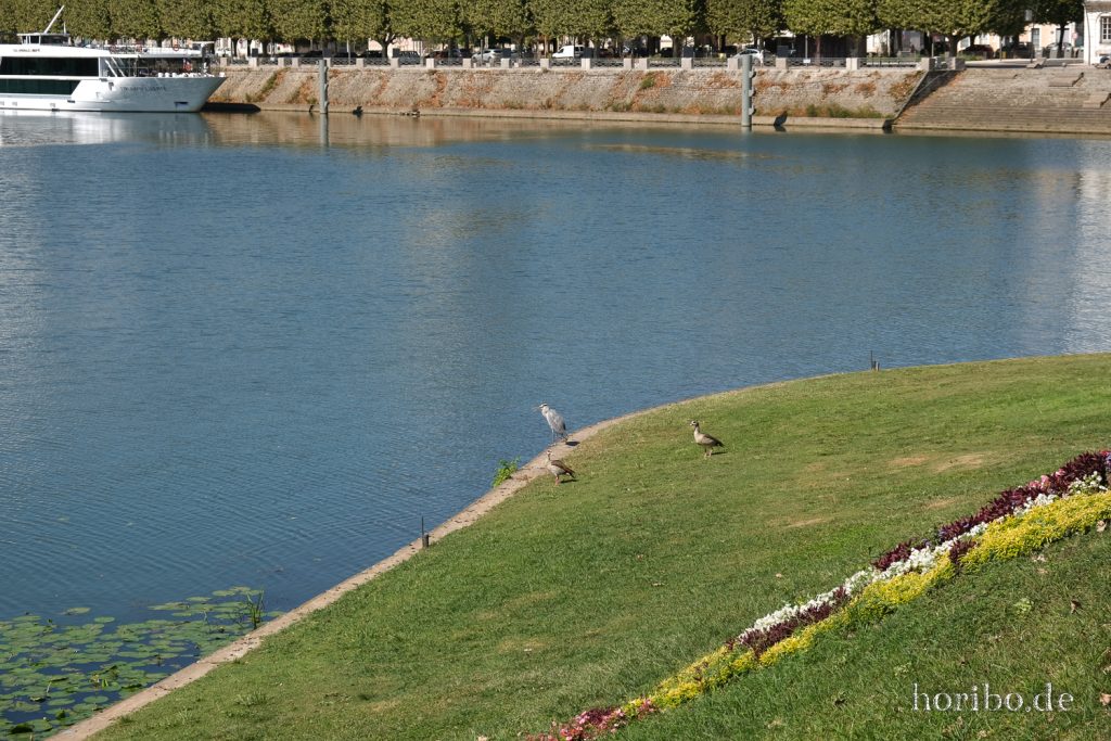 038_HR-22-09-04-12-31-32-0535