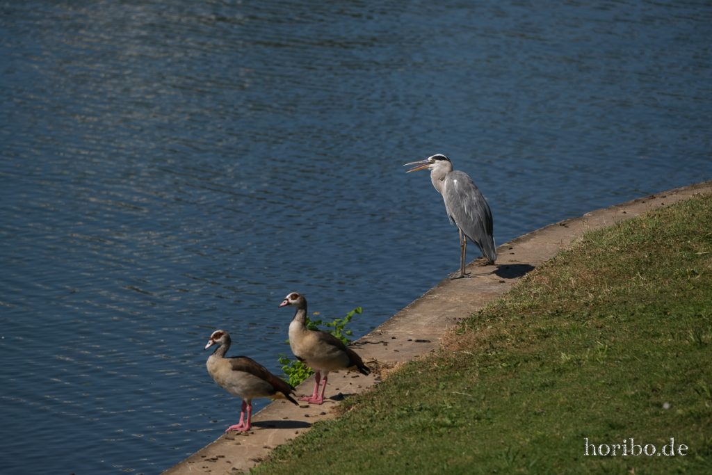 039_HR-22-09-04-12-32-33-0538