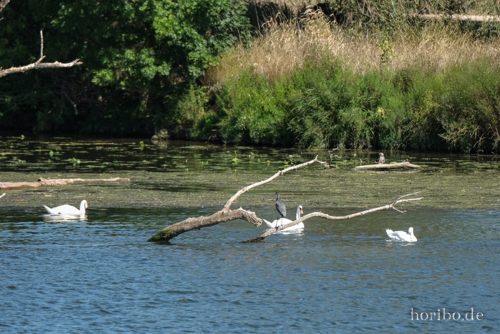 089_HR-22-09-05-15-12-14-0734