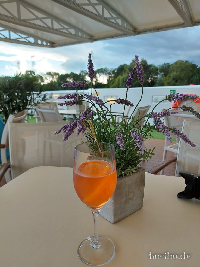 095_HR-22-09-05-17-59-34-175934