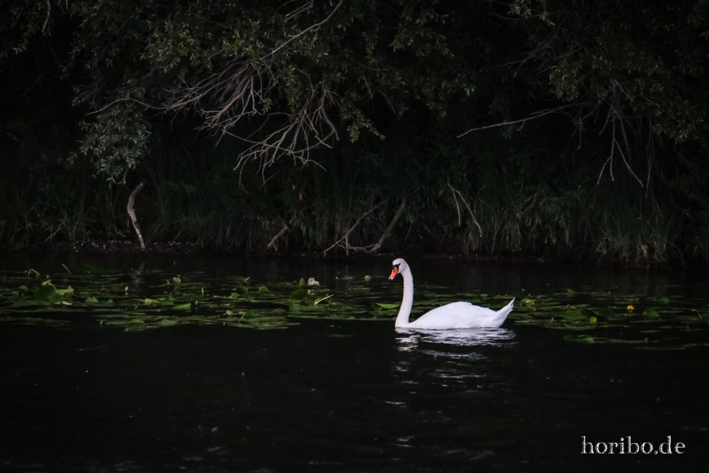 098_HR-22-09-05-18-38-13-0760