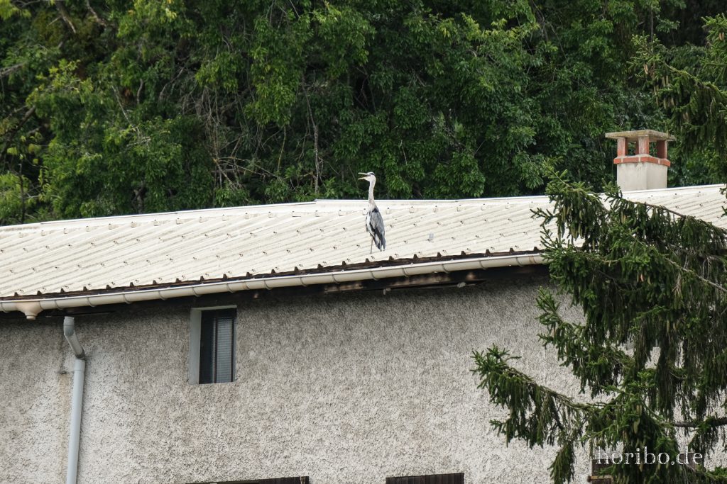 164_HR-22-09-06-11-51-18-1061