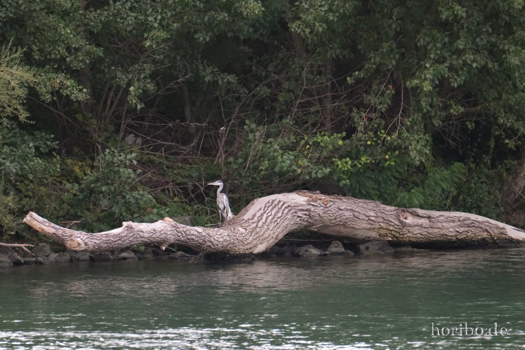 181_HR-22-09-06-16-18-35-1166