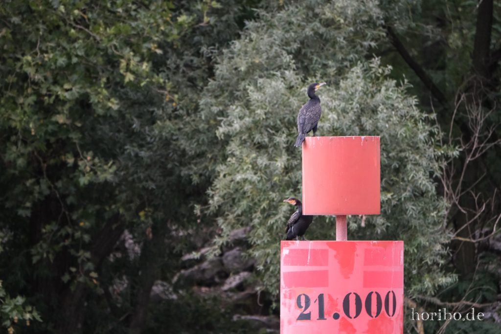 182_HR-22-09-06-16-19-19-1173