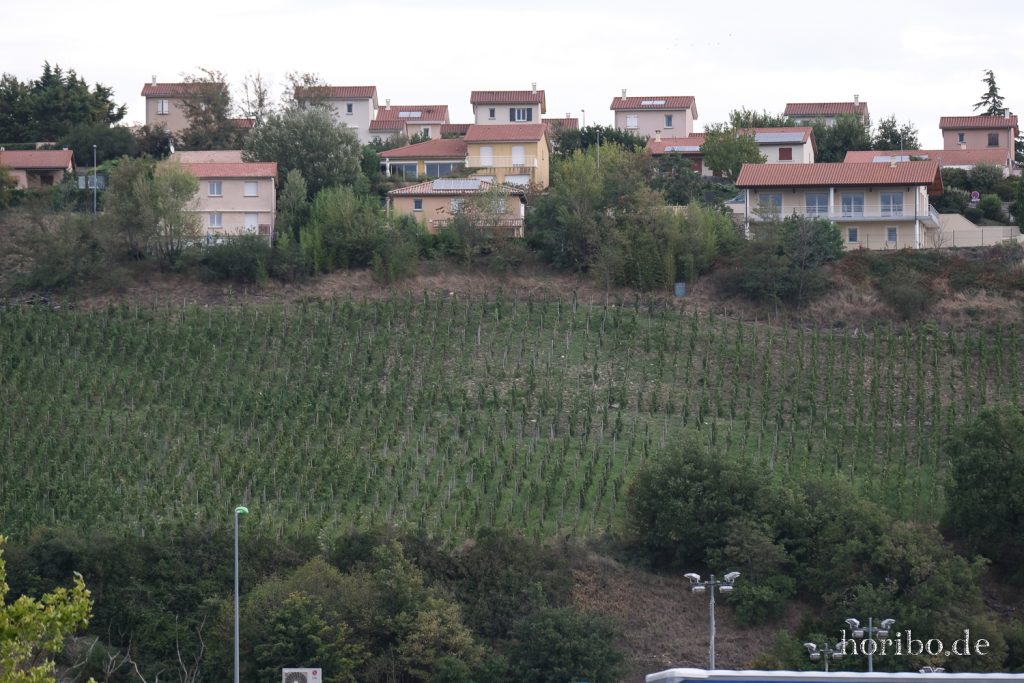 183_HR-22-09-06-16-20-15-1174