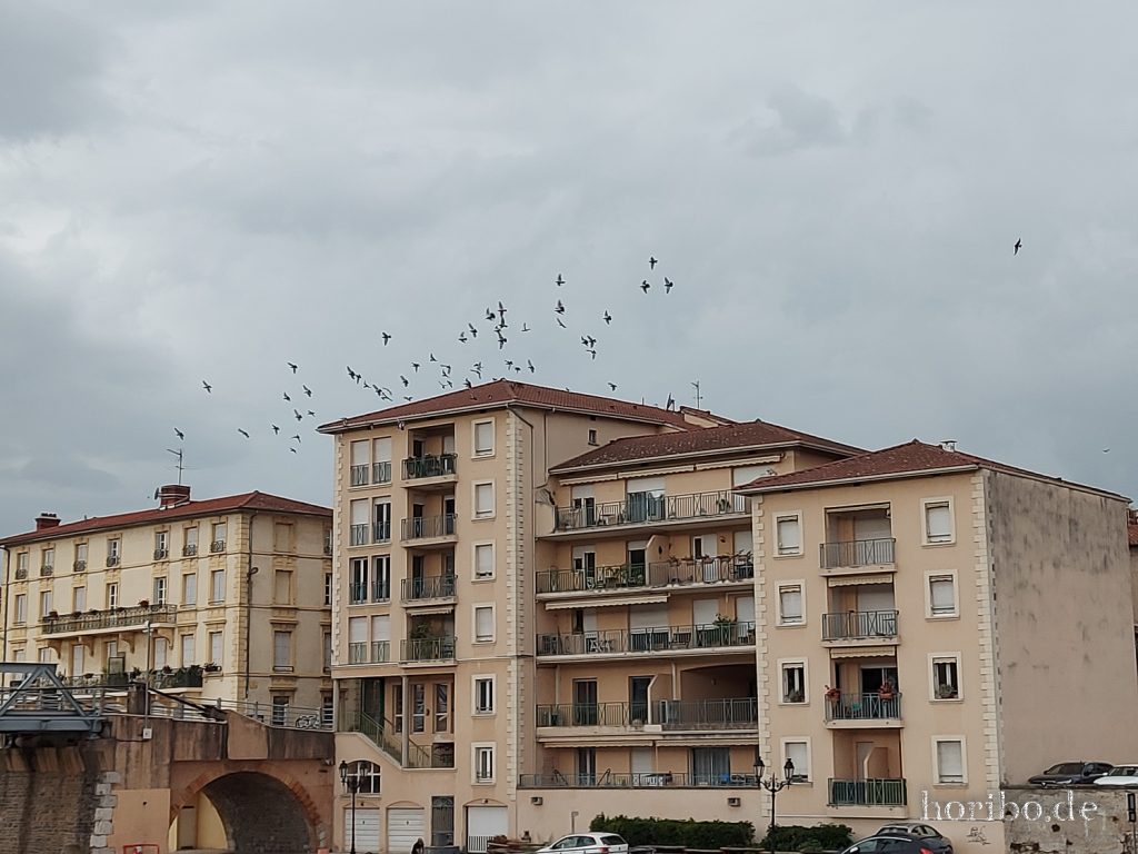 185_HR-22-09-06-17-05-35-170535