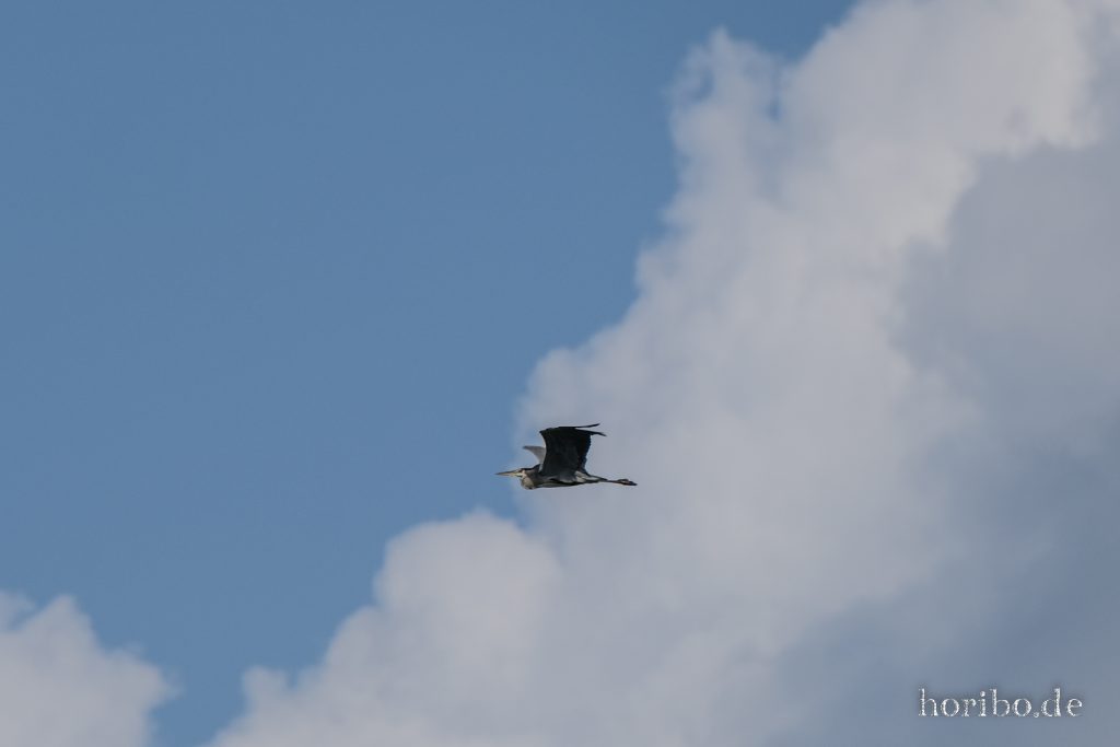 196_HR-22-09-07-09-56-51-1234