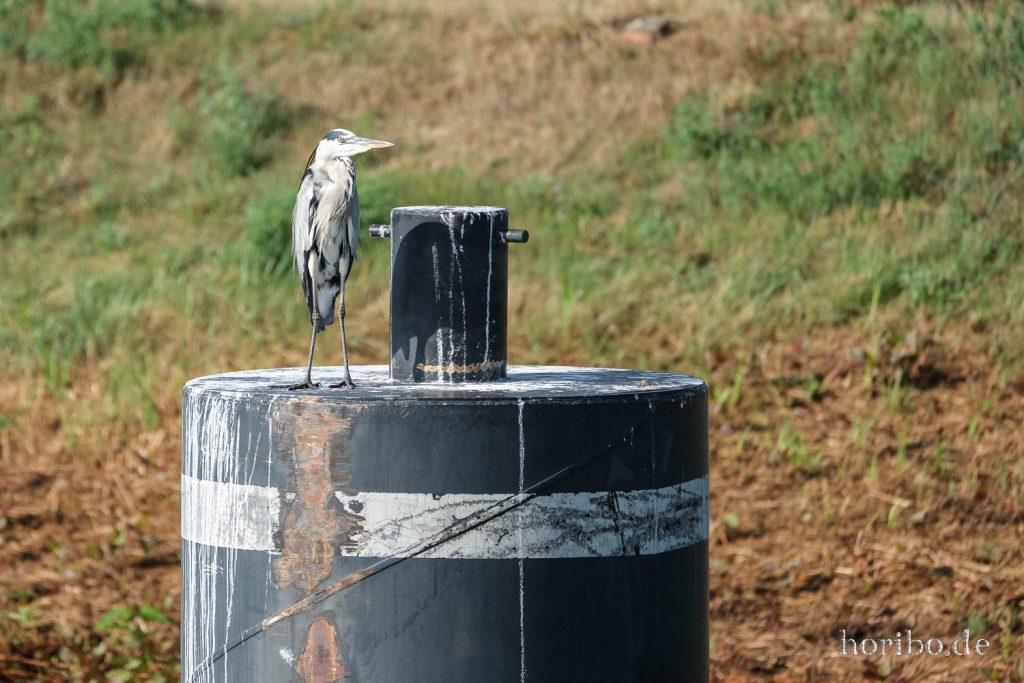 198_HR-22-09-07-10-06-44-1250