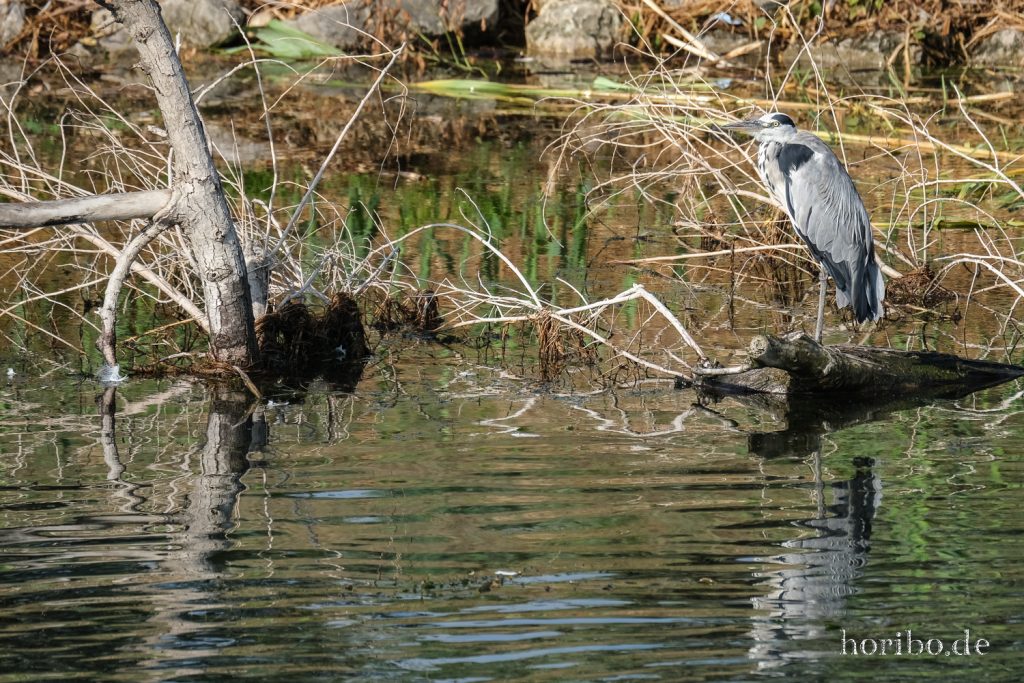 199_HR-22-09-07-10-07-44-1256