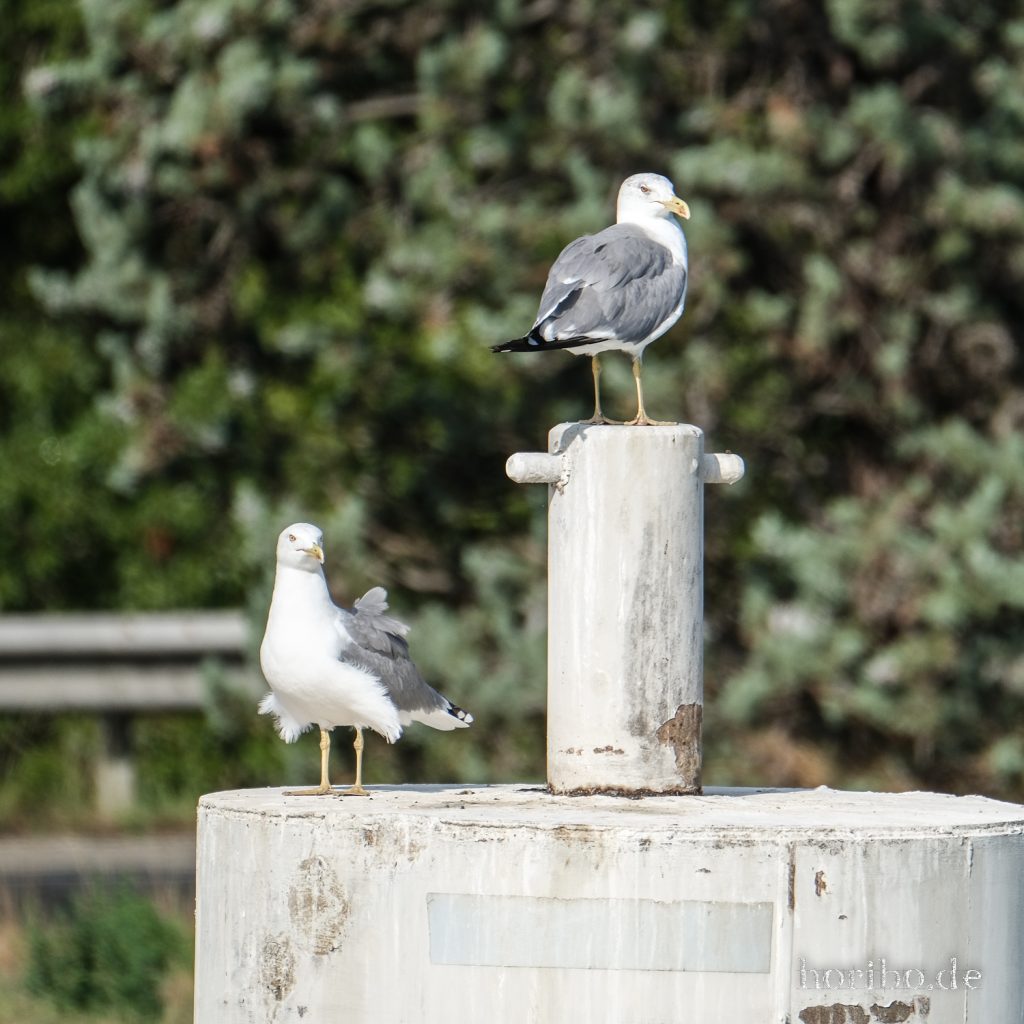 201_HR-22-09-07-10-10-40-1264