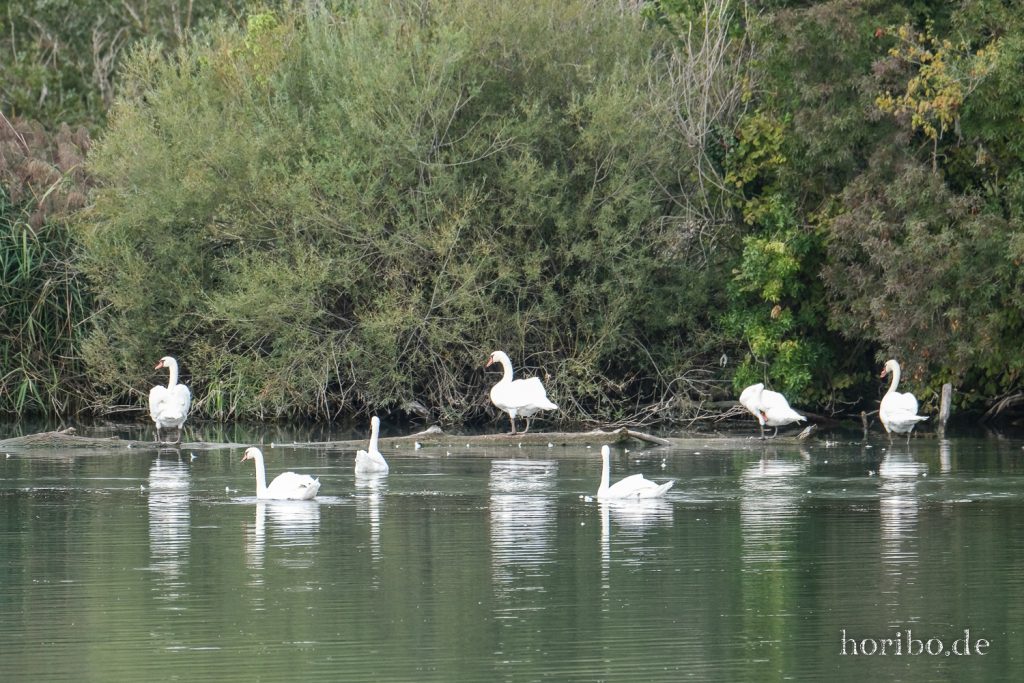 208_HR-22-09-07-11-36-44-1315