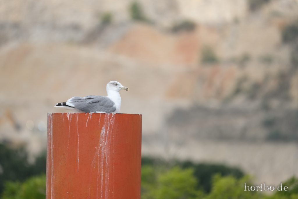 210_HR-22-09-07-11-38-33-1323