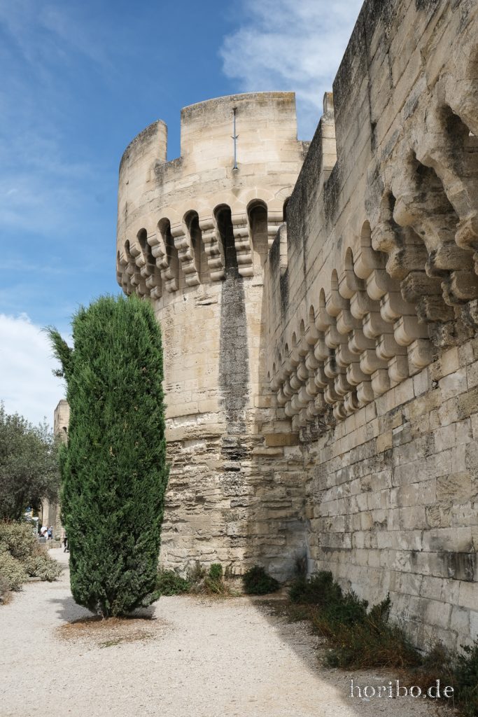 231_HR-22-09-07-14-51-40-1476