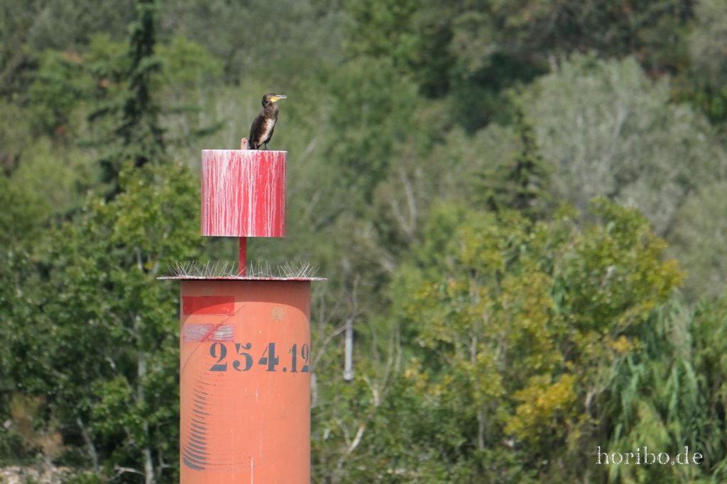 261_HR-22-09-08-12-31-19-1682