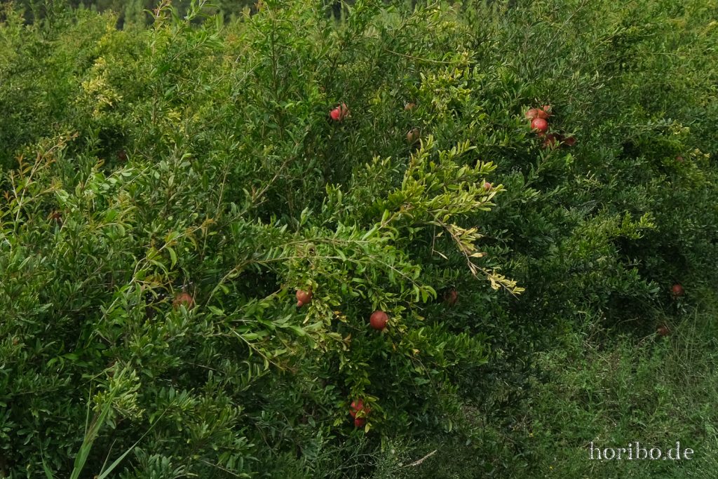 278_HR-22-09-08-16-15-52-1777