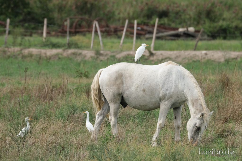 279_HR-22-09-08-16-18-42-1787