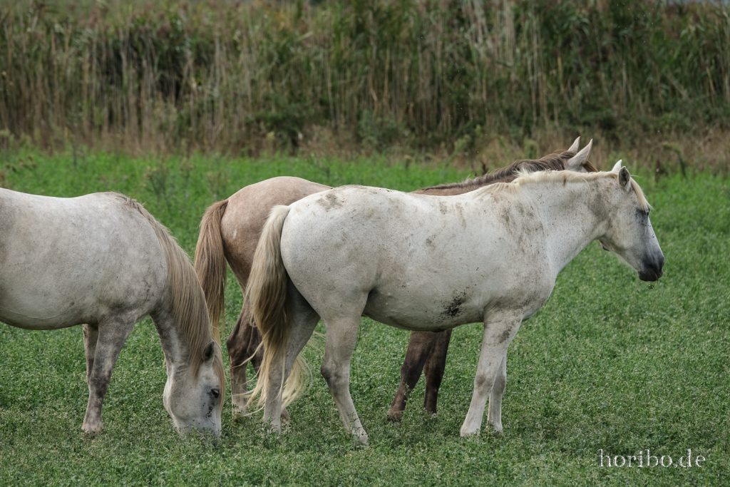 281_HR-22-09-08-16-19-34-1798