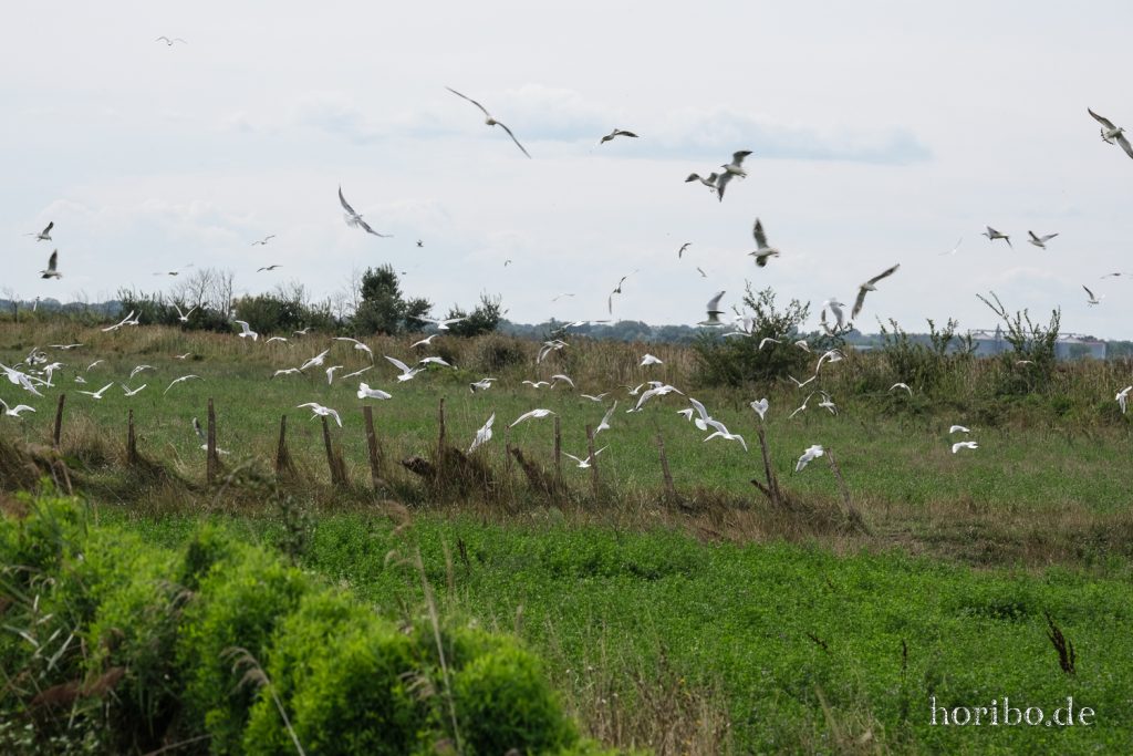 282_HR-22-09-08-16-19-39-1799