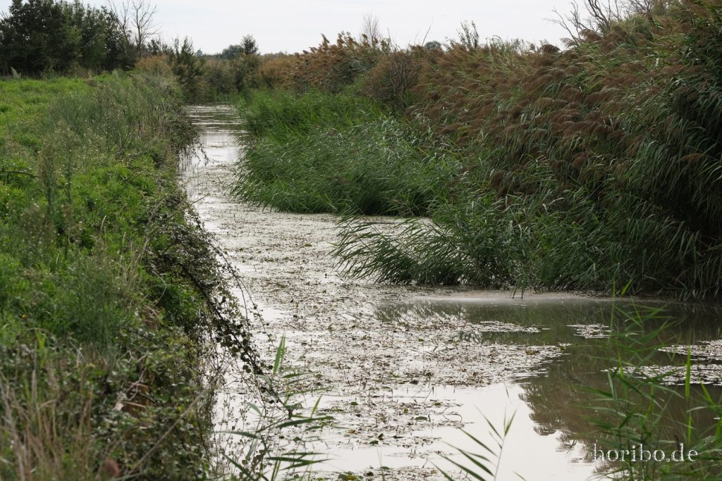 283_HR-22-09-08-16-23-29-1802