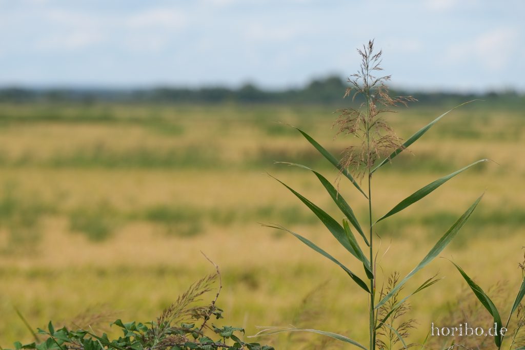 284_HR-22-09-08-16-24-55-1804