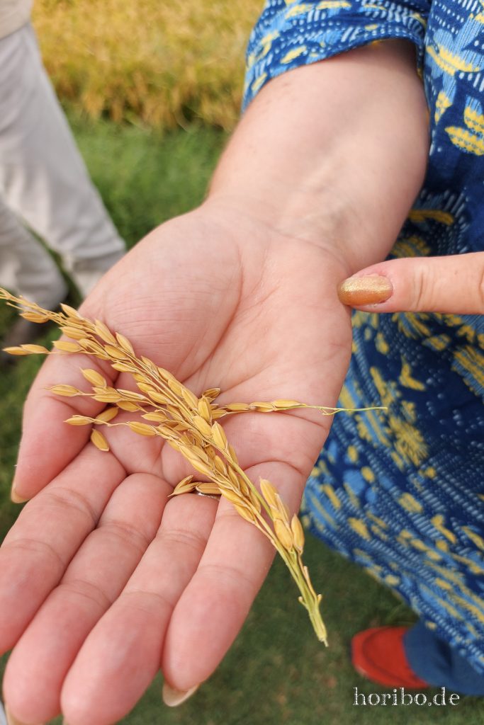 285_HR-22-09-08-16-20-07-162007