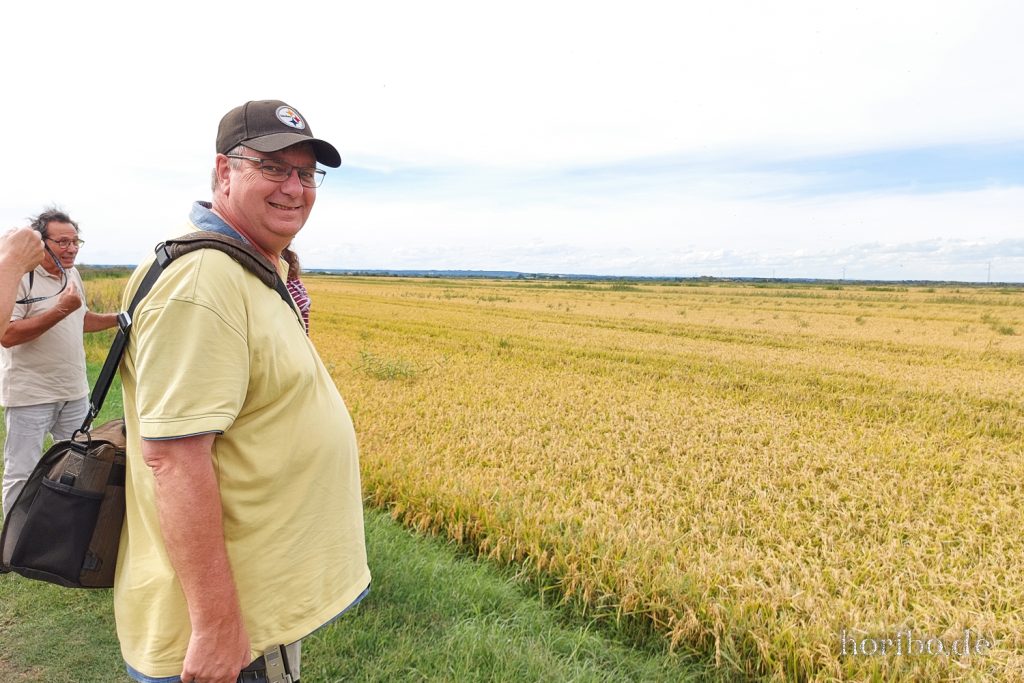 286_HR-22-09-08-16-20-44-162044