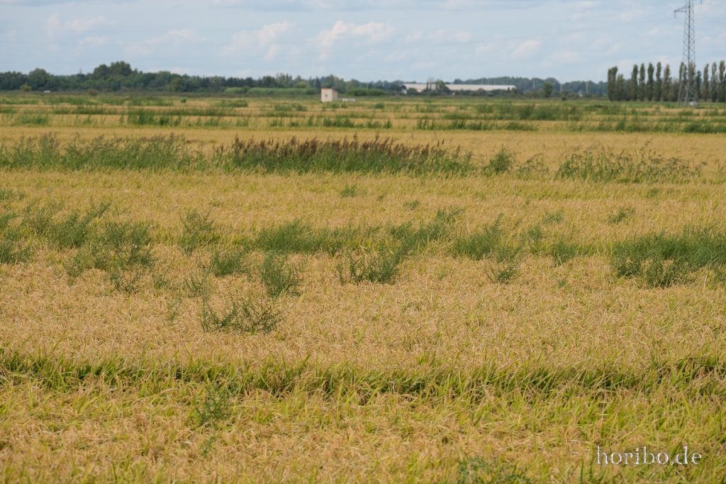 287_HR-22-09-08-16-26-21-1809