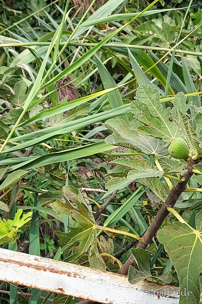 289_HR-22-09-08-16-29-43-162943