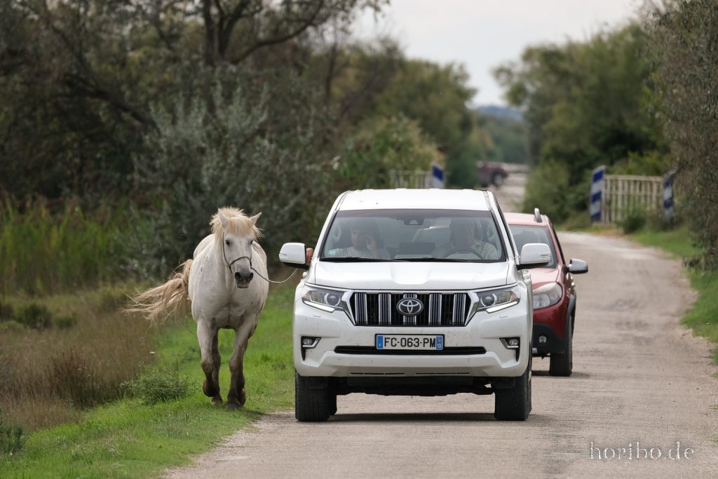 290_HR-22-09-08-16-37-27-1838