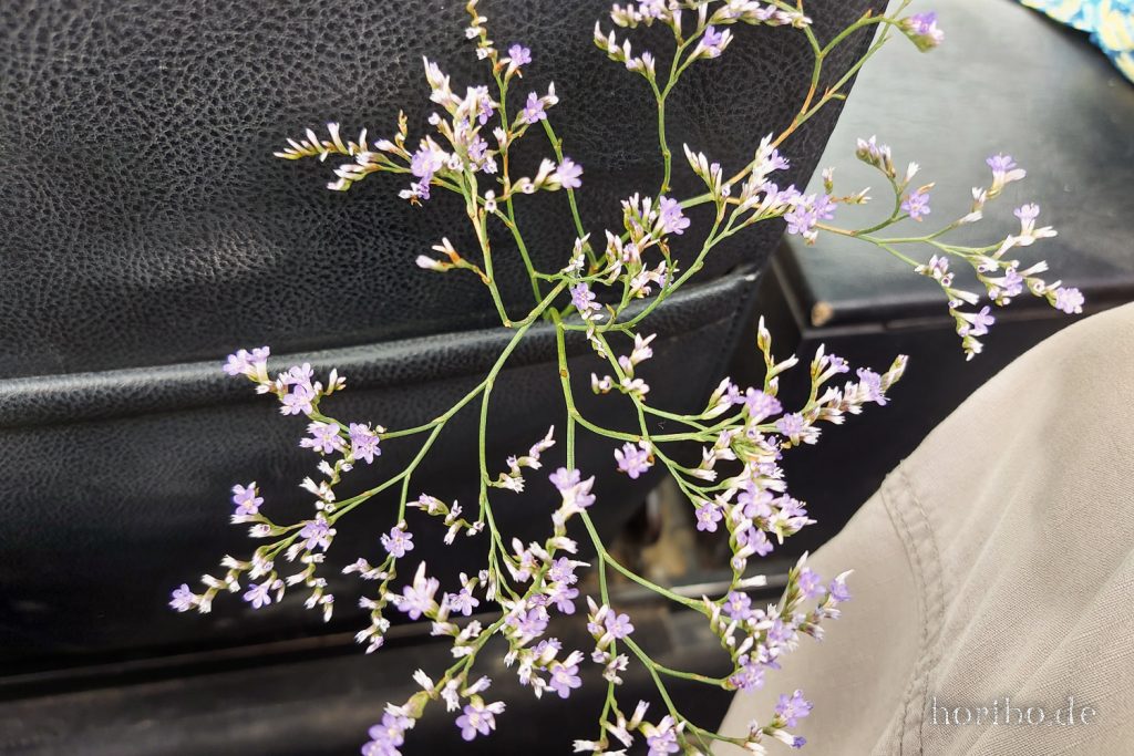 293_HR-22-09-08-16-44-39-164439