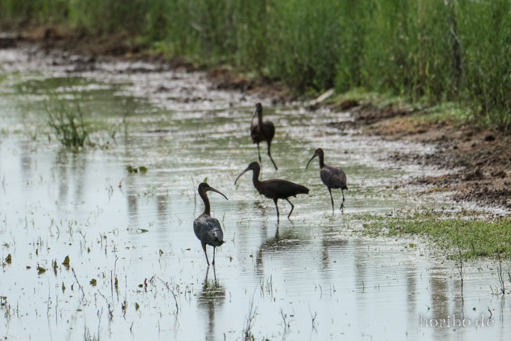 295_HR-22-09-08-16-55-19-1870