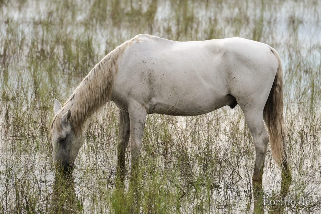 297_HR-22-09-08-16-56-32-1884