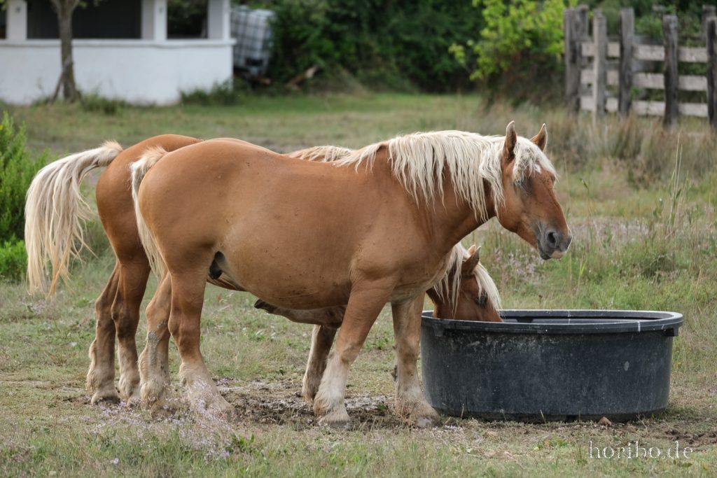 298_HR-22-09-08-17-01-38-1895