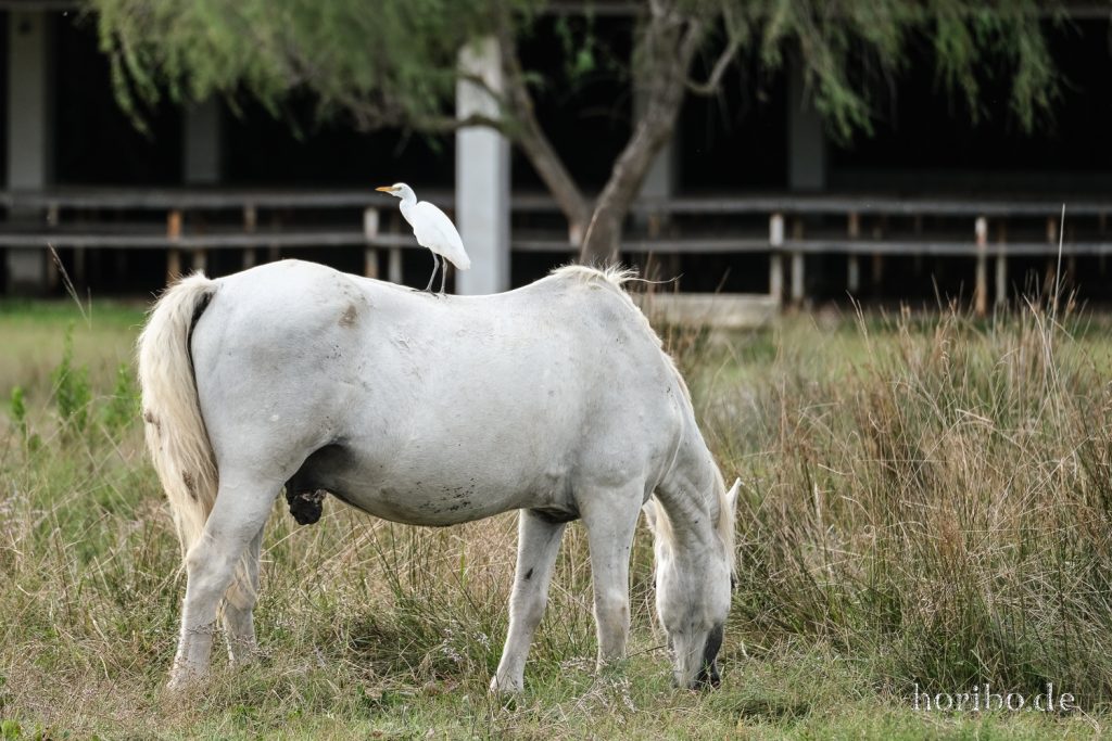 299_HR-22-09-08-17-02-40-1901