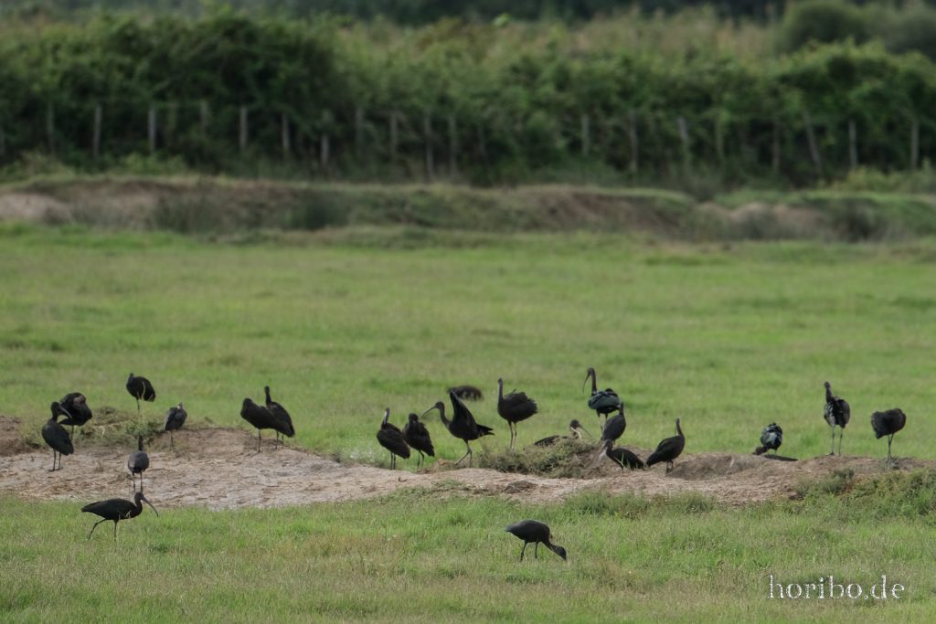 302_HR-22-09-08-17-22-45-1918