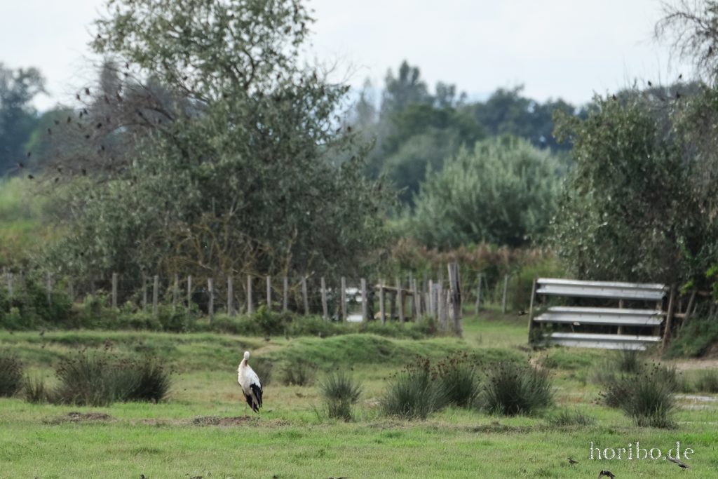 303_HR-22-09-08-17-22-56-1920