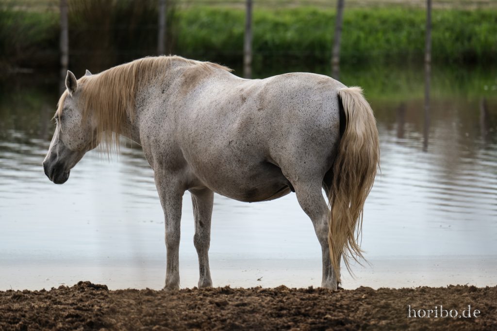 310_HR-22-09-08-17-29-29-1964