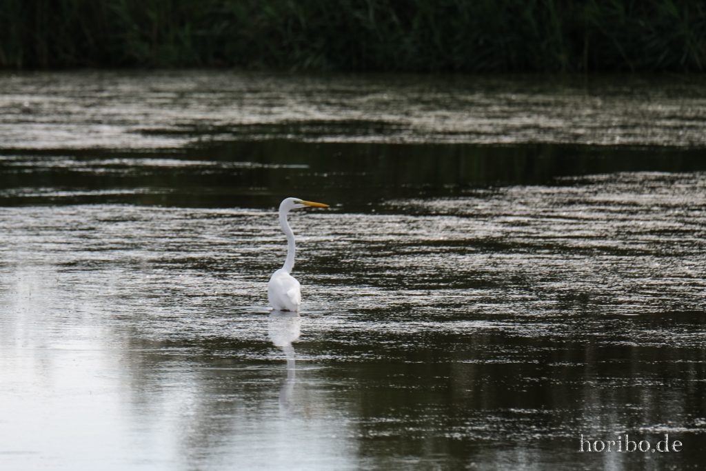 311_HR-22-09-08-17-32-17-1967