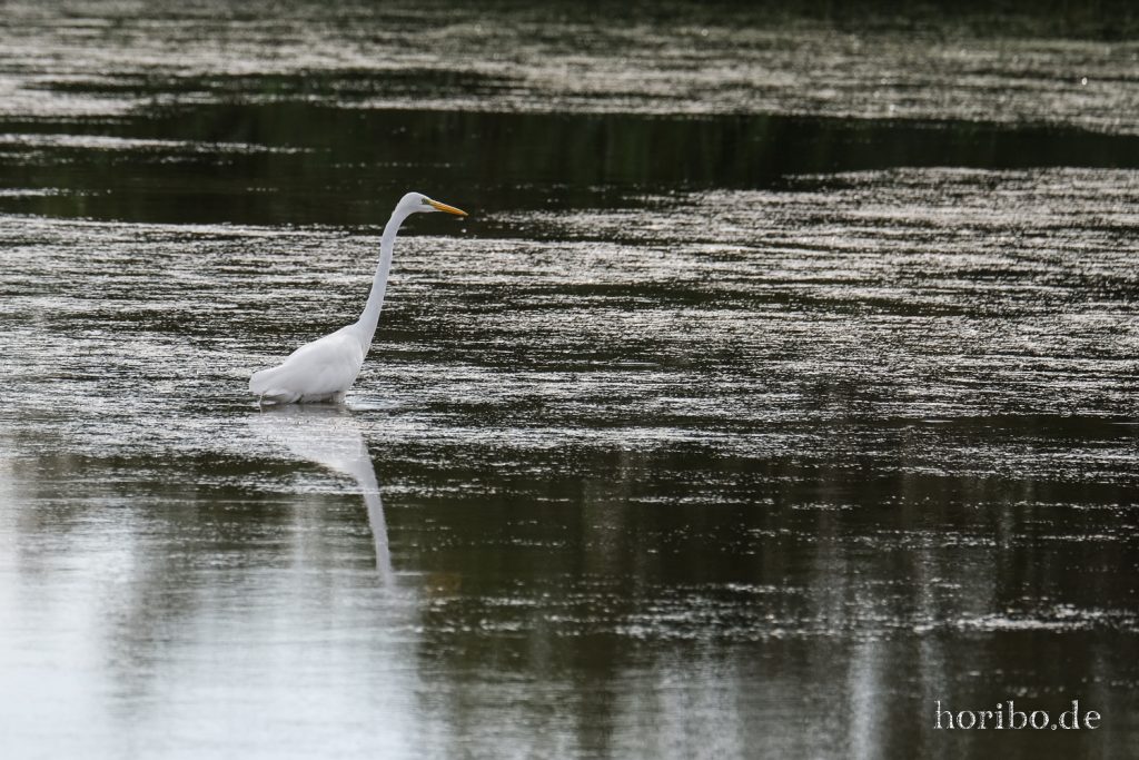 312_HR-22-09-08-17-32-19-1974