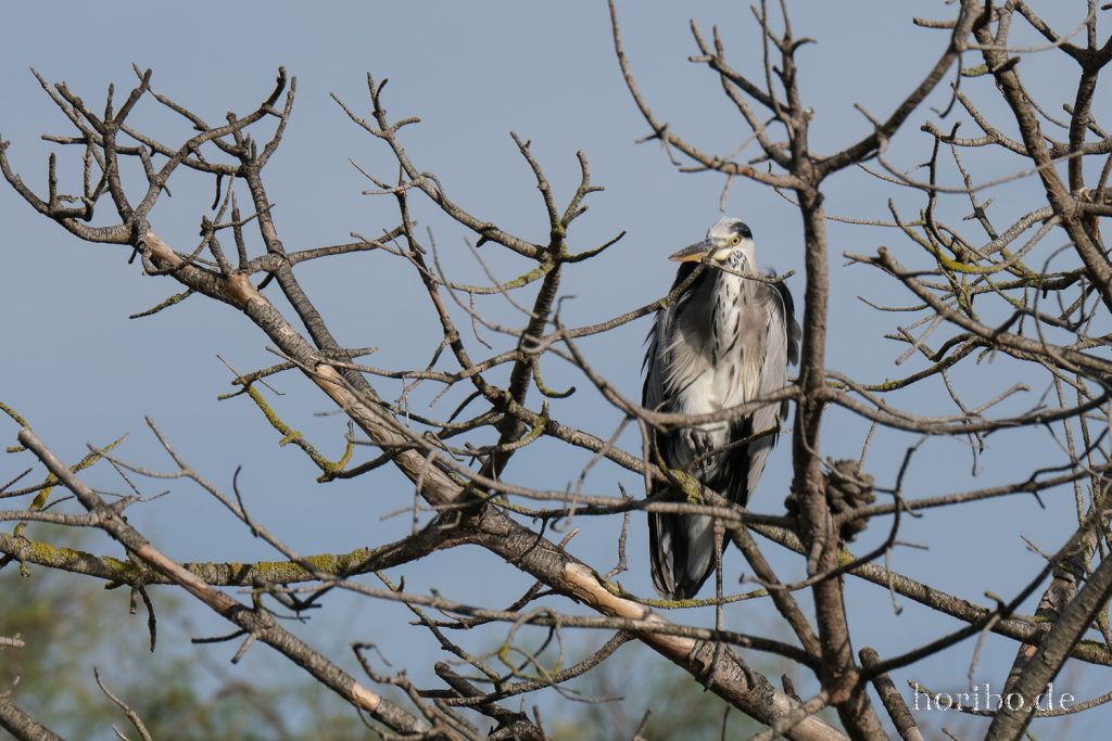 313_HR-22-09-08-17-47-43-1977