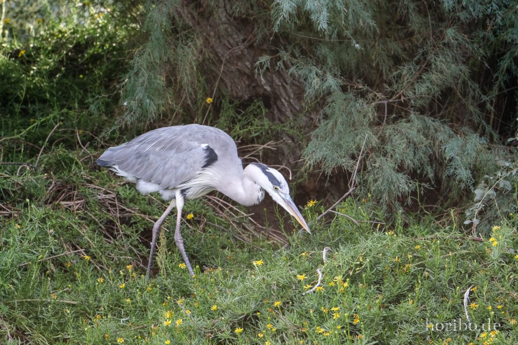 314_HR-22-09-08-17-51-26-1988